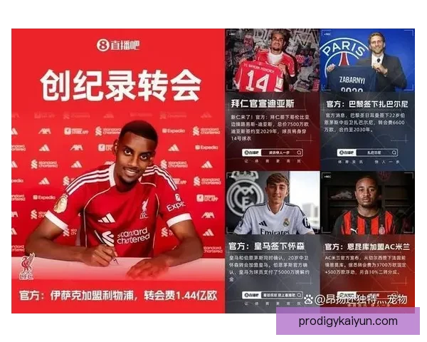 德甲新加盟球员表现分析及未来潜力展望